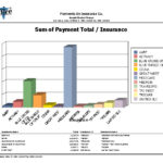 Graphic-Payments-by-Insurance_Lg-1