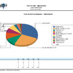 Graphic-Year-to-Date-by-Insurance-Adjustments_Lg-1
